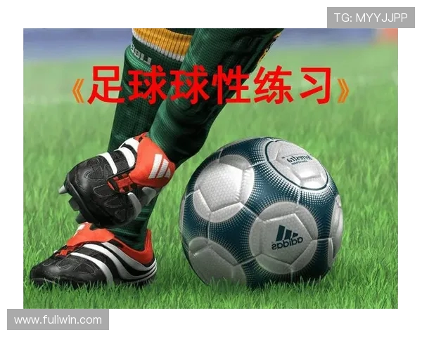 足球兴起对其他传统体育项目影响与削弱效应探析